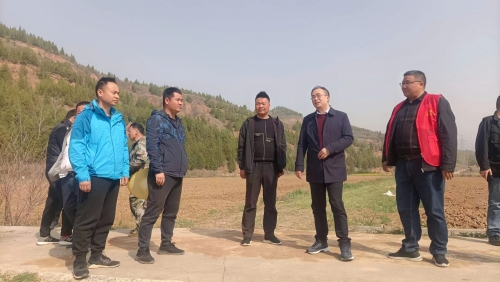 党组书记、院长王涛到种植田现场调研_副本.jpg 党组书记、院长王涛到种植田现场调研_副本.jpg