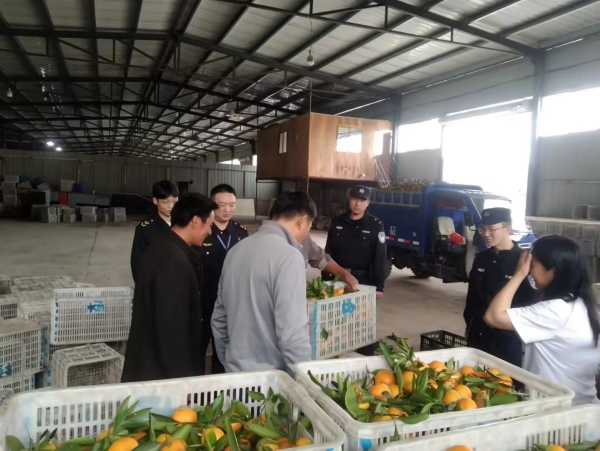 庭所联动在柑橘交易市场处理纠纷_副本.jpg 庭所联动在柑橘交易市场处理纠纷_副本.jpg